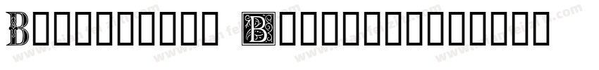 Ornamental Initials字体转换